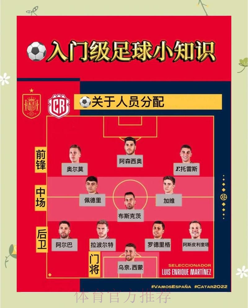 深入解析世界杯比赛预测技巧与经验